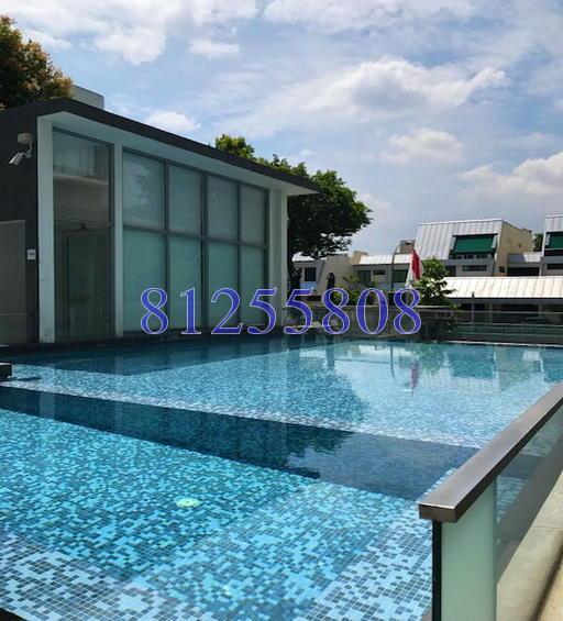 D' Chateau @ Shelford (D11), Apartment #149614602